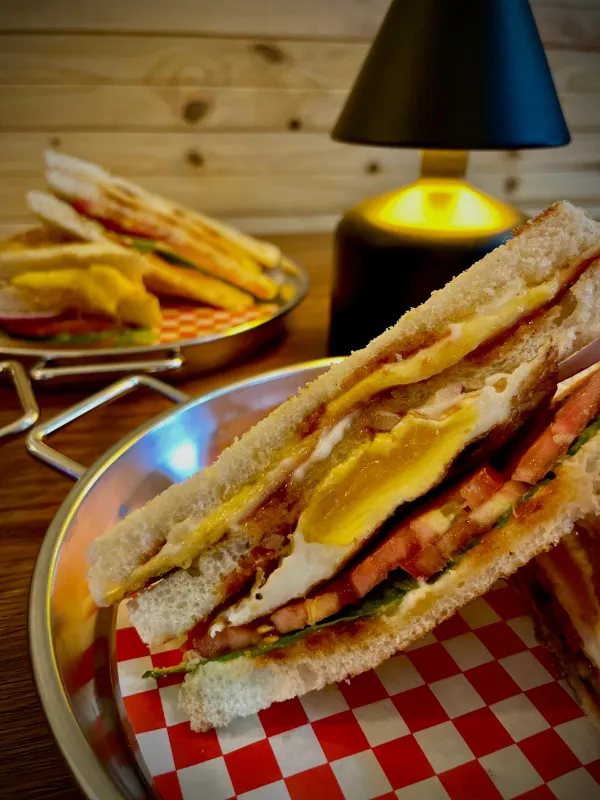 Sandwich Especial